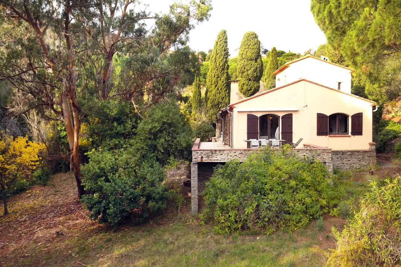 Mas De La Croette Collioure Villa Bagian luar foto